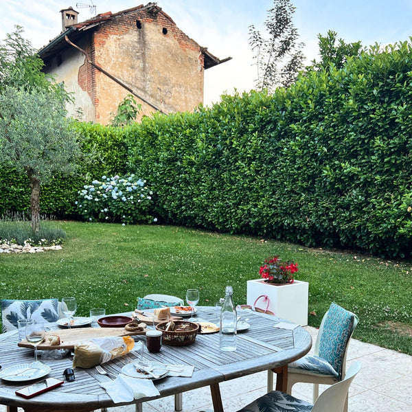 Evergreen & Privacy-Nursery Near Me