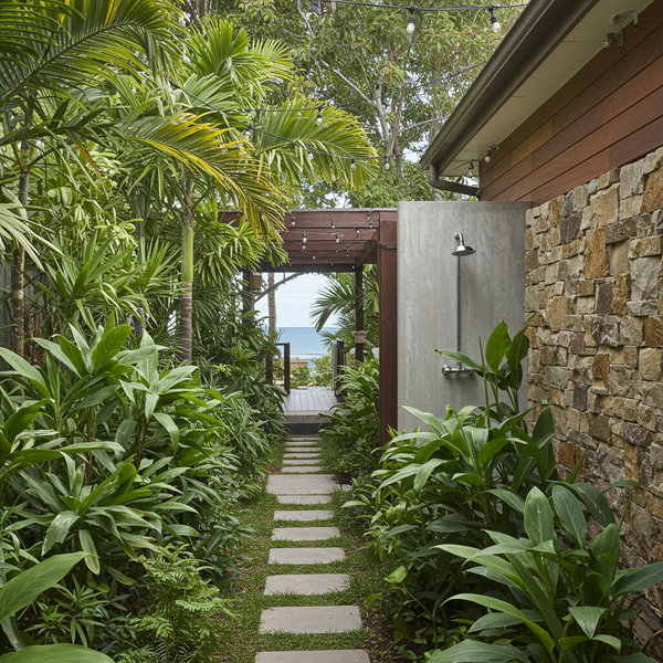 Subtropical Plants for Warm Climates-Nursery Near Me