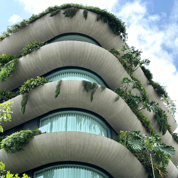 Tropical Garden Plants-Nursery Near Me