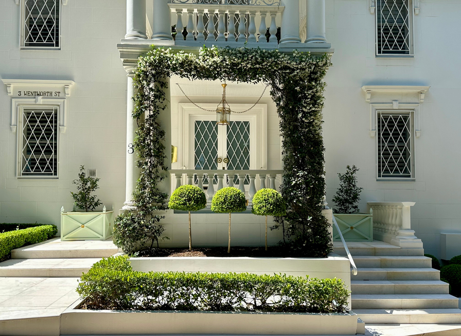 Elegant white building entrance with manicured hedges, potted shrubs, and ivy-covered columns.