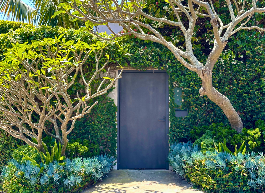 A black door surrounded by lush green plants, shrubs, and trees in a garden setting.
