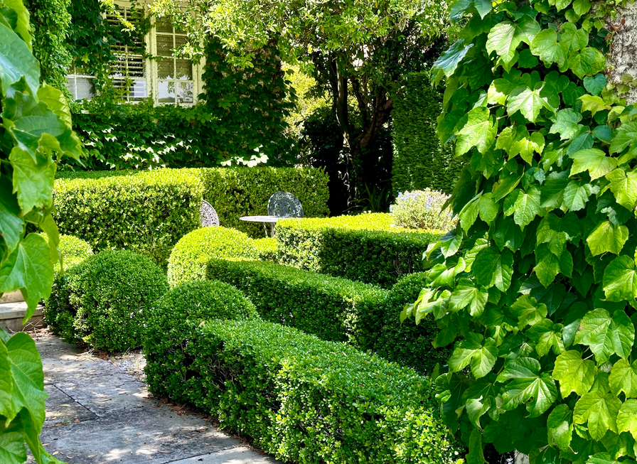 Sunlit garden with neatly trimmed hedges, round bushes, ivy-covered walls, and a small table with two chairs.