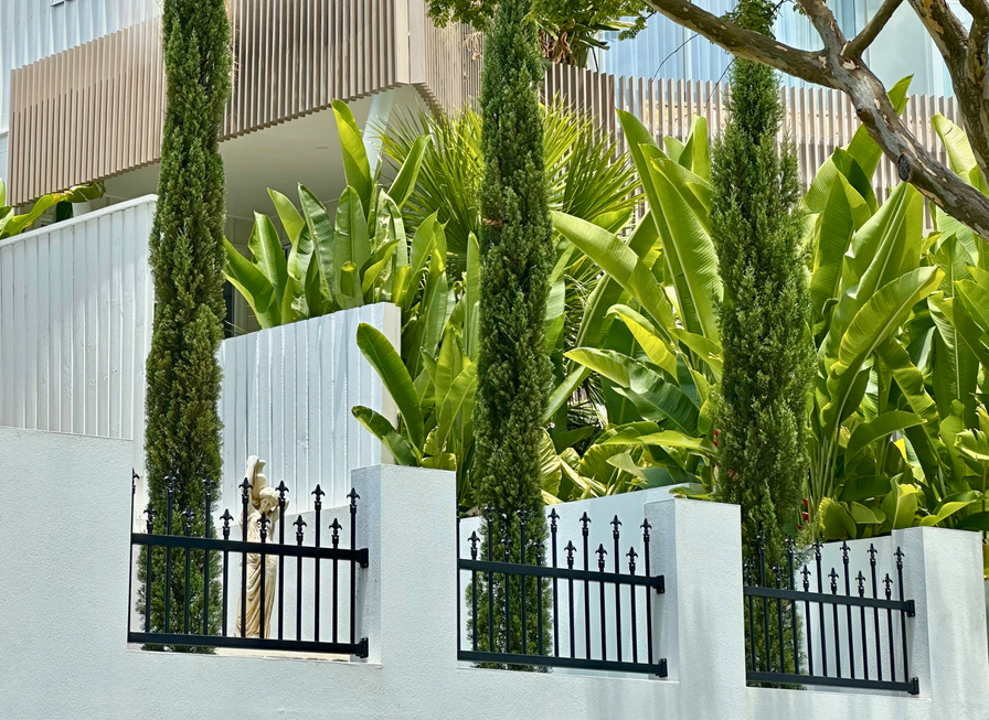 Tall green trees and tropical plants behind a white fence with black metal railings in front of a modern building.