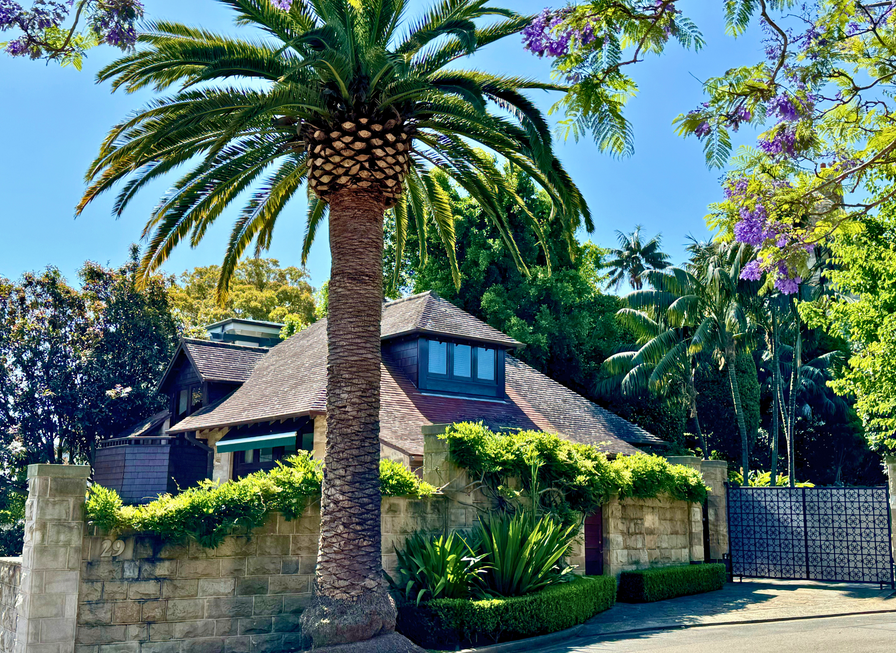 A house with a sloped roof and stone wall, shaded by a large palm tree and lush greenery.