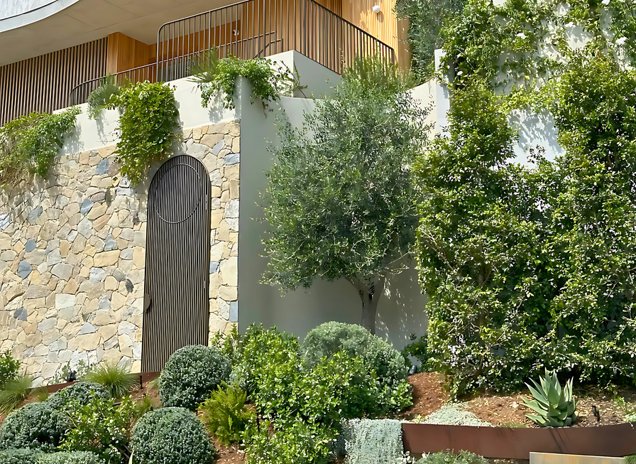 Stone wall with wooden door, surrounded by lush green plants and bushes in a landscaped garden.